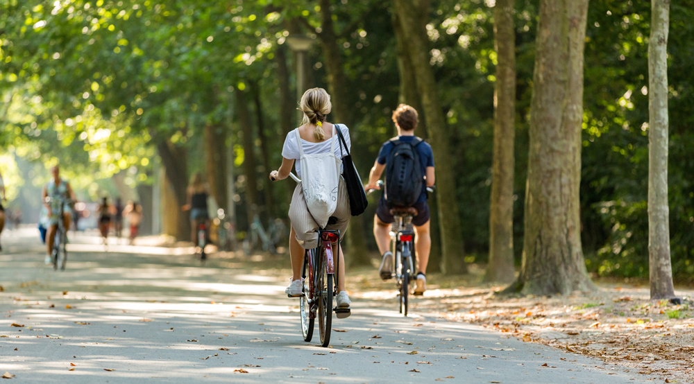 a man and woman riding bikes on a shaded path